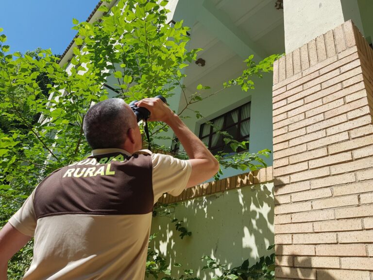 El Consorci del Millars finalitza el cens d'avions comuns del molí del Termet