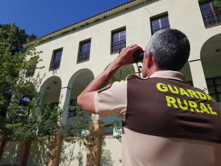 Finalitza el cens d’avions comuns al Paisatge Protegit de la Desembocadura del riu Millars