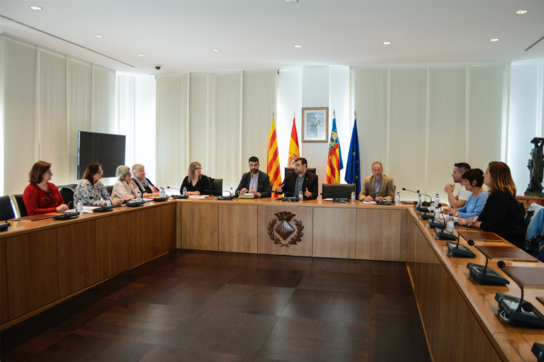 La Mesa de Persones amb Capacitats Diferents valora les activitats formatives, de sensibilització i d'inserció laboral realitzades 