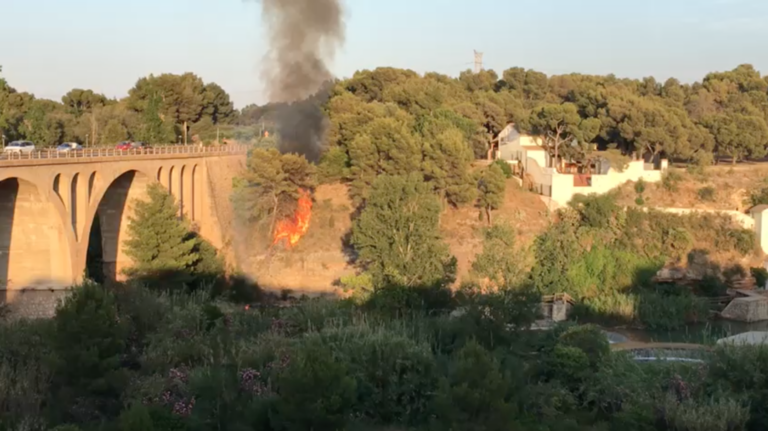 Incendi de vegetació en un canyar de l'Assut del riu Millars de l'Ermita de Vila-real