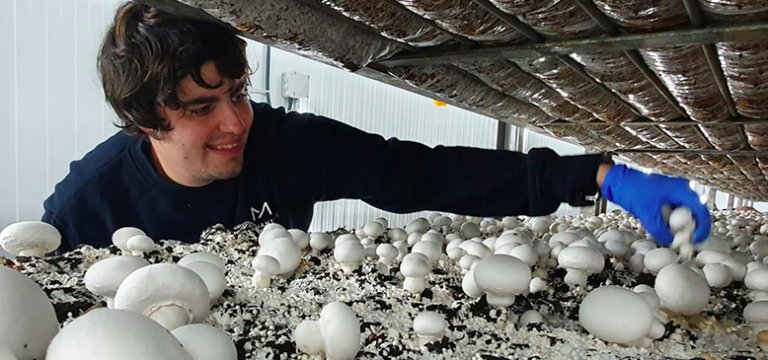 La Fundació Manantial rep 47.000 euros de la Generalitat per al seu projecte d'ocupació