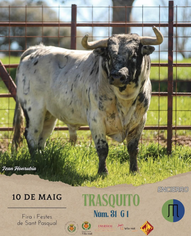 Dos nous exemplars se sumen a l’emoció dels bous al carrer del 10 de maig