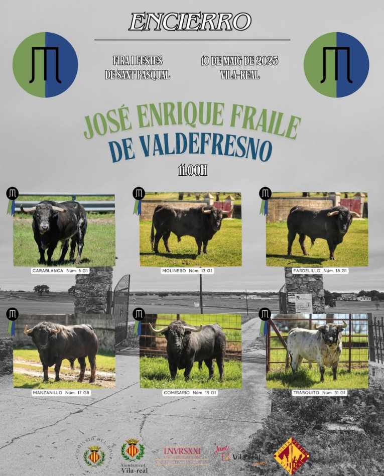 Vila-real acollirà un espectacular encierro amb bous de José Enrique Fraile de Valdefresno
