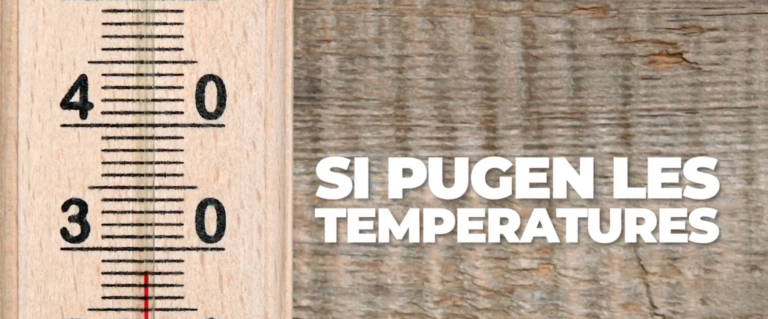 Alerta per altes temperatures: Salut Pública recomana extremar precaucions