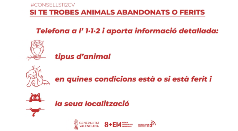 El servei 112CV ensenya com actuar davant animals abandonats o ferits