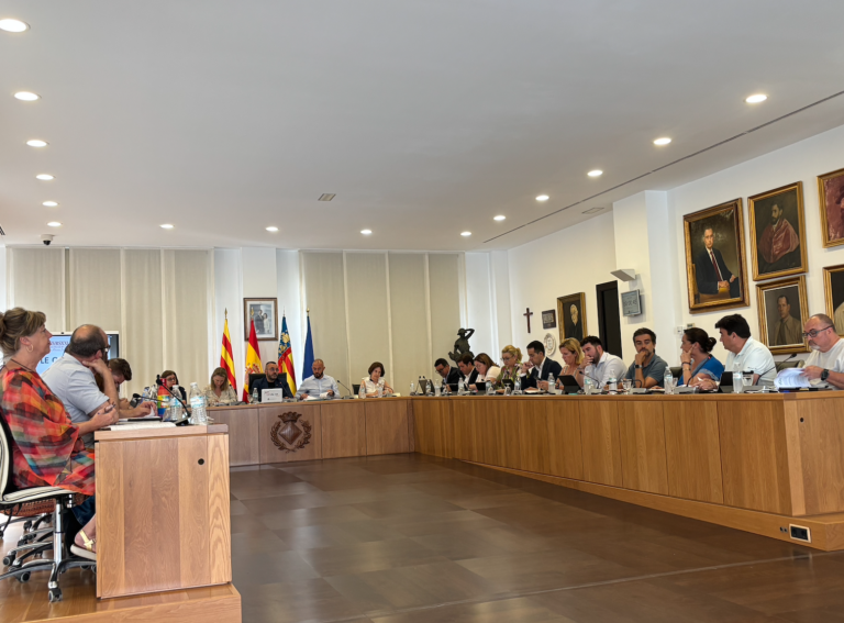 Vila-real aprova i debat la instal·lació de banys autolimpiables