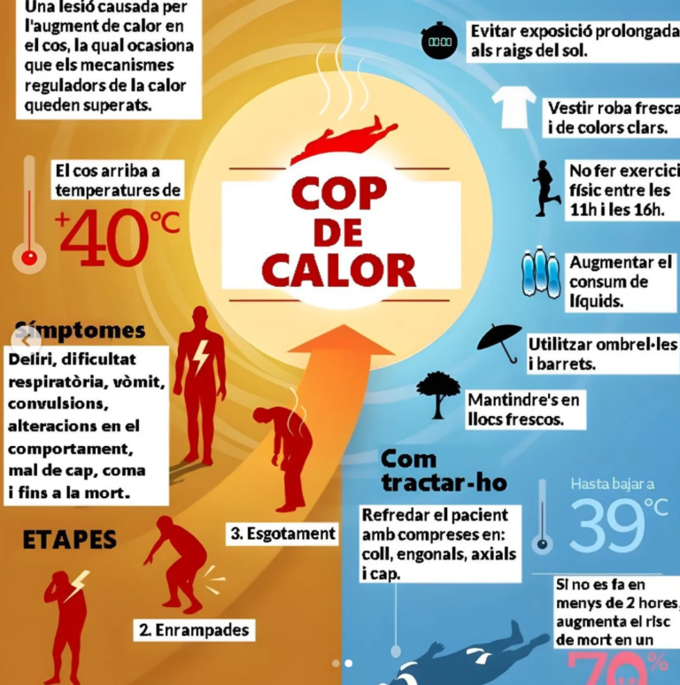Com prevenir i actuar davant un cop de calor: una amenaça real en dies d’alta temperatura