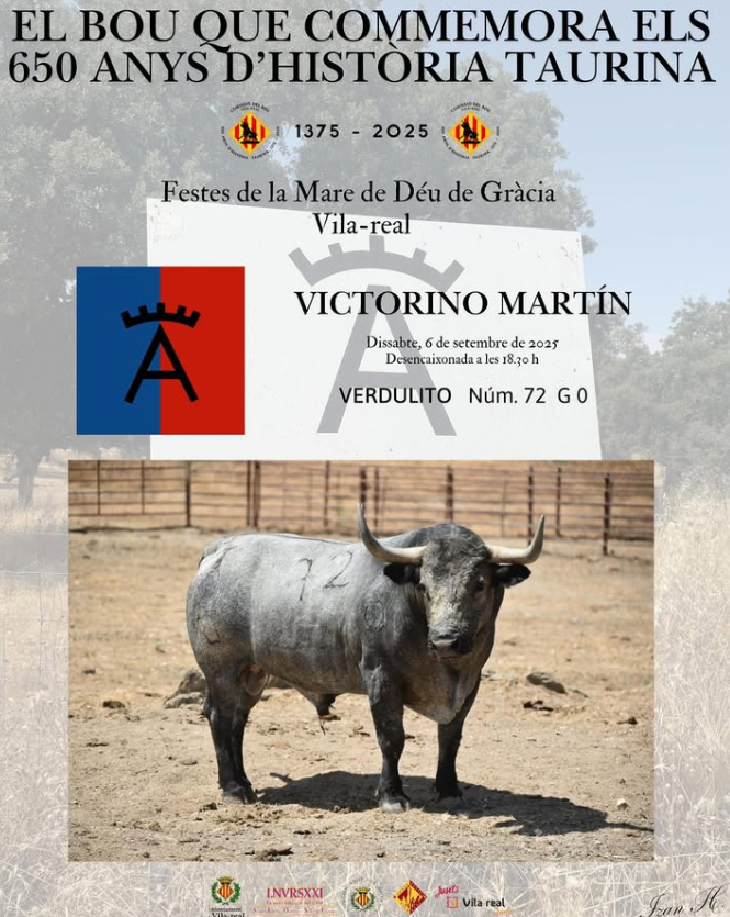 Un bou molt especial per a commemorar 650 anys d’història taurina