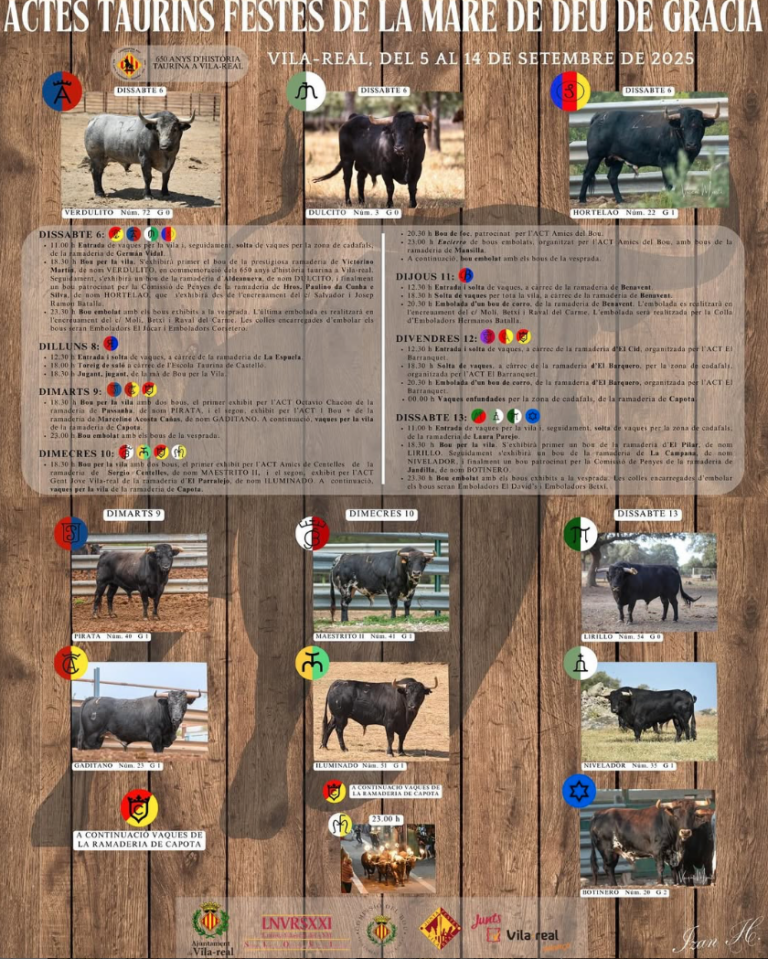 Vila-real desvetla el cartell complet del Bou al Carrer 2025