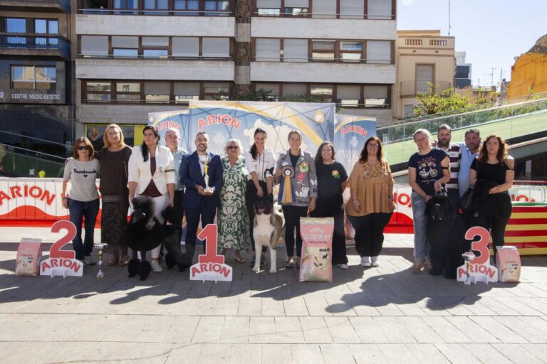 Èxit del concurs caní «Ciutat de Vila-real» a la Plaça Major