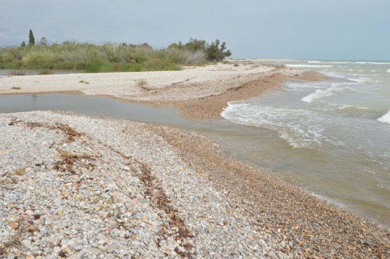 La gota freda trenca la barrera de pedres que separa el Millars del Mediterrani després de més d'un any tancada