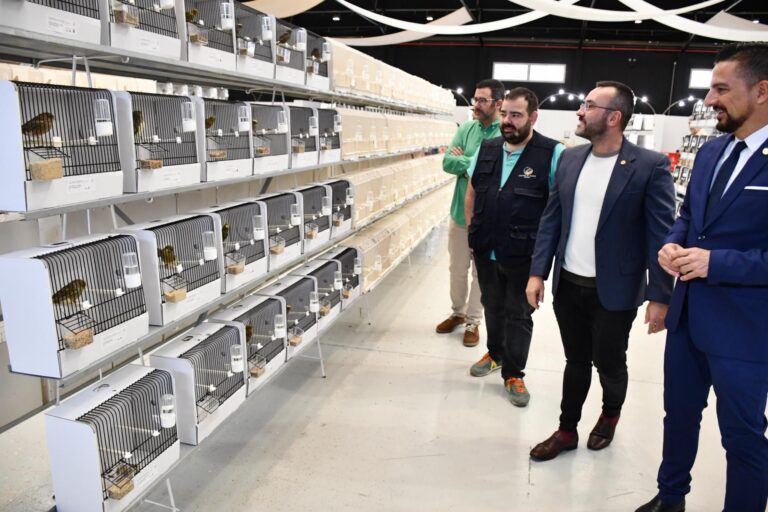 Vila-real acull el XVIII Campionat d’Ornitologia de la Comunitat