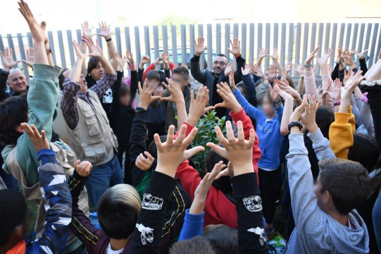 Els col·legis reforesten el seu entorn per a celebrar el Dia de l'Arbre amb la cura de Medi Ambient 