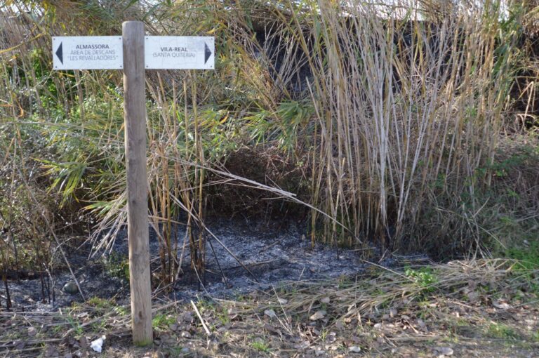 Incendi forestal crema 150 m² de vegetació al Paisatge Protegit del Millars en la zona dels camins de l'aigua