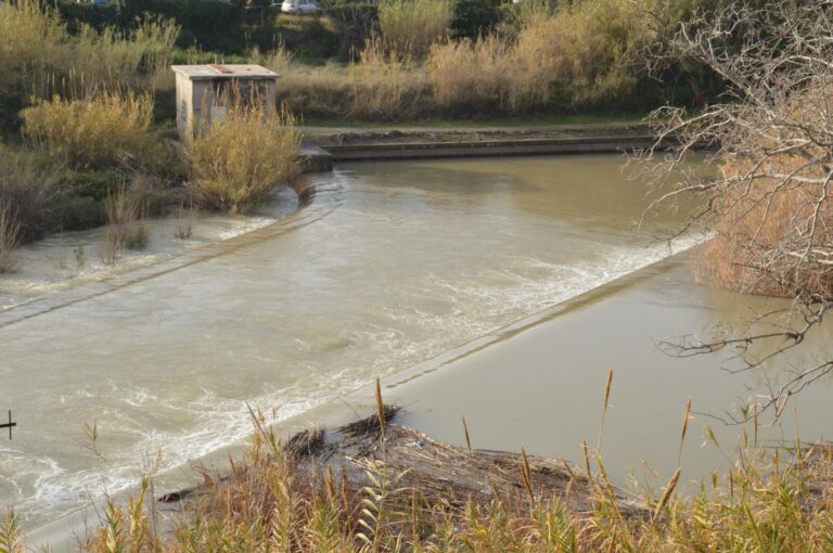 La borrasca 'Glòria' permet a la Desembocadura del Millars recuperar el seu cabal