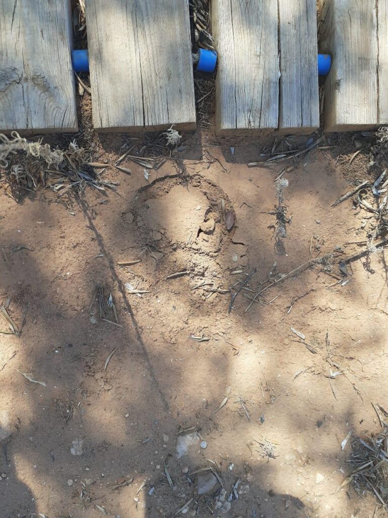 El jaciment arqueològic del torrelló del Boverot de l’època del Bronze valencià pateix un acte vandàlic