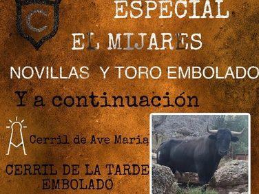 Compromís denuncia que els bous van comptar amb una ramaderia sancionada 