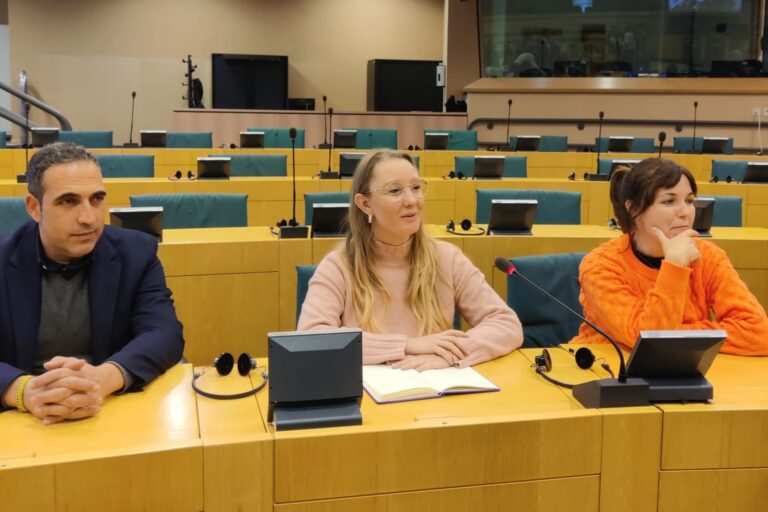 Vila-real busca liderar l’aplicació eficient de les ajudes dels fons europeus