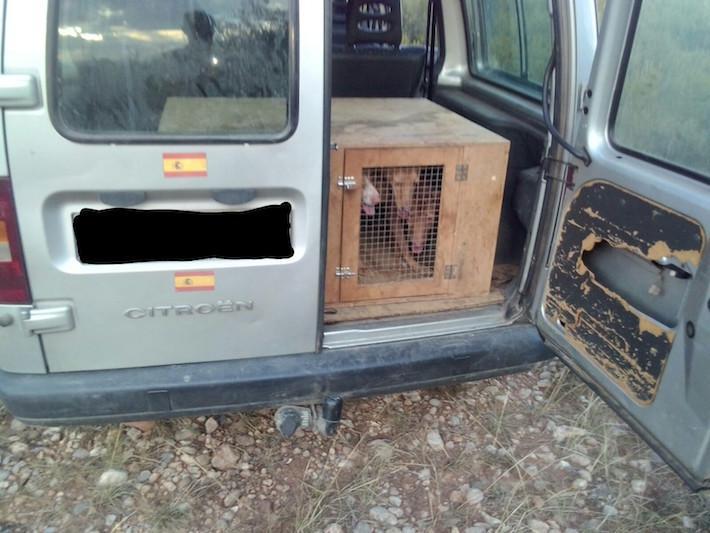 La guarderia del Consorci del riu Millars sorprén un home caçant armat dins del Paisatge protegit