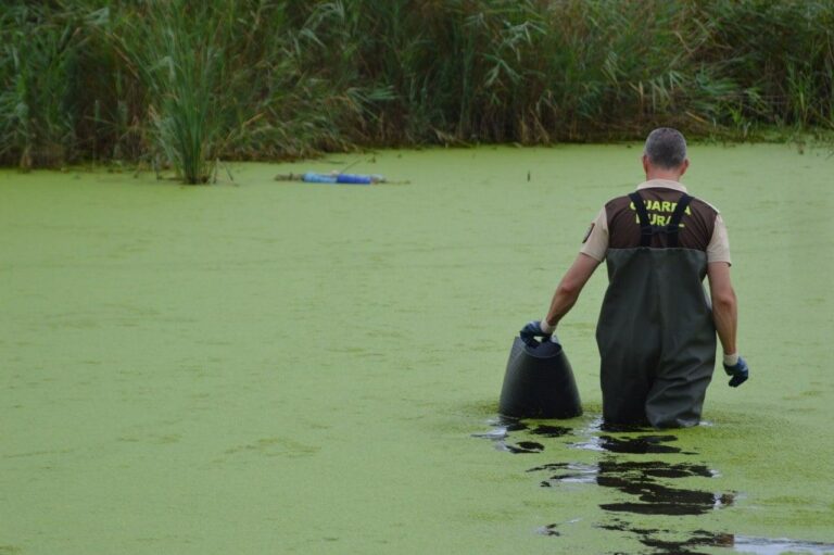 El Consorci del Millars licita el servei de vigilància i manteniment per un any a l’espera de reforçar el finançament