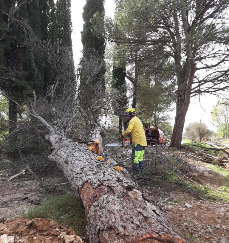 Les unitats de bombers i bomberes forestals reforcen la neteja de l’entorn natural després de les tempestes