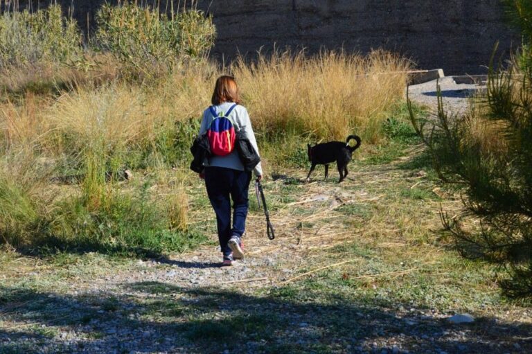 El Consorci del riu Millars adverteix de la prohibició de passejar amb gossos solts