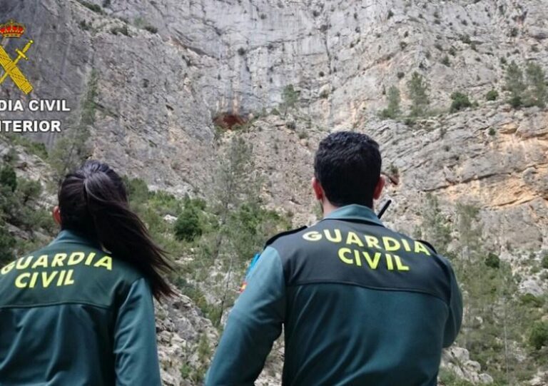 La Guàrdia Civil investiga al propietari de diversos gossos en una parcel·la propera a la Vall d’Uixó