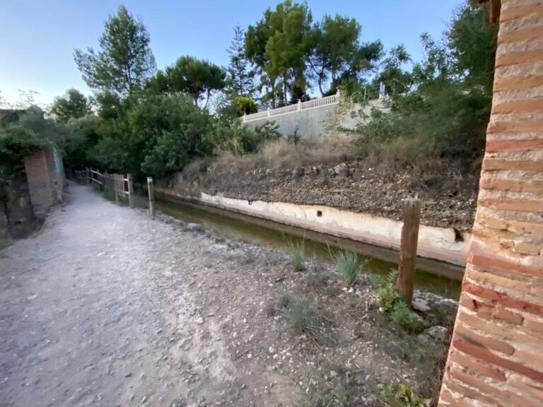 Compromís denuncia l’estat d’abandó de la Ruta Botànica i alerta del perill que suposa  