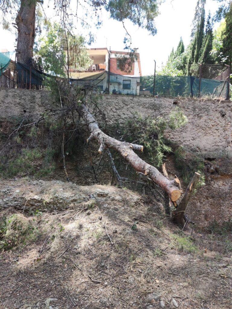 Tanquen la ruta botànica de Vila-real per despreniments per les pluges