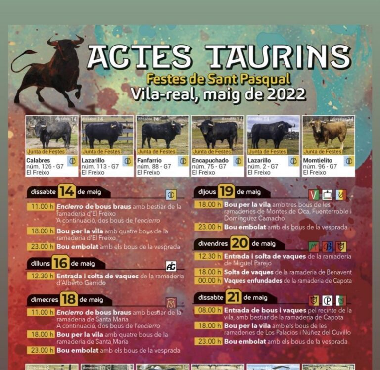 Tornen els bous per la vila: Coneix el calendari taurí per a les Festes de Sant Pasqual