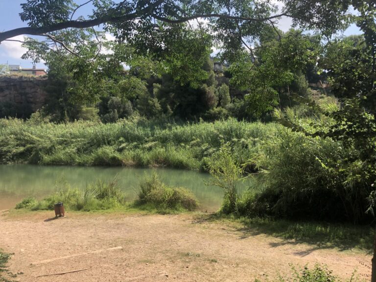 Gaudeix d’un passeig botànic a l’assut de Vila-real