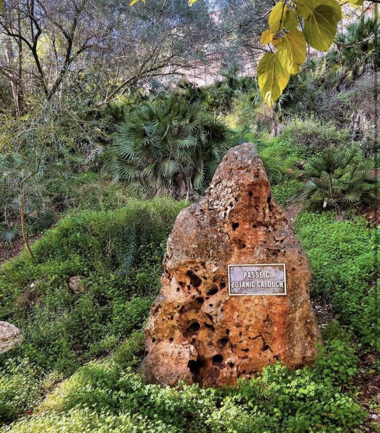 Coneix el passeig de la senda botànica Calduch junt al Millars este cap de setmana