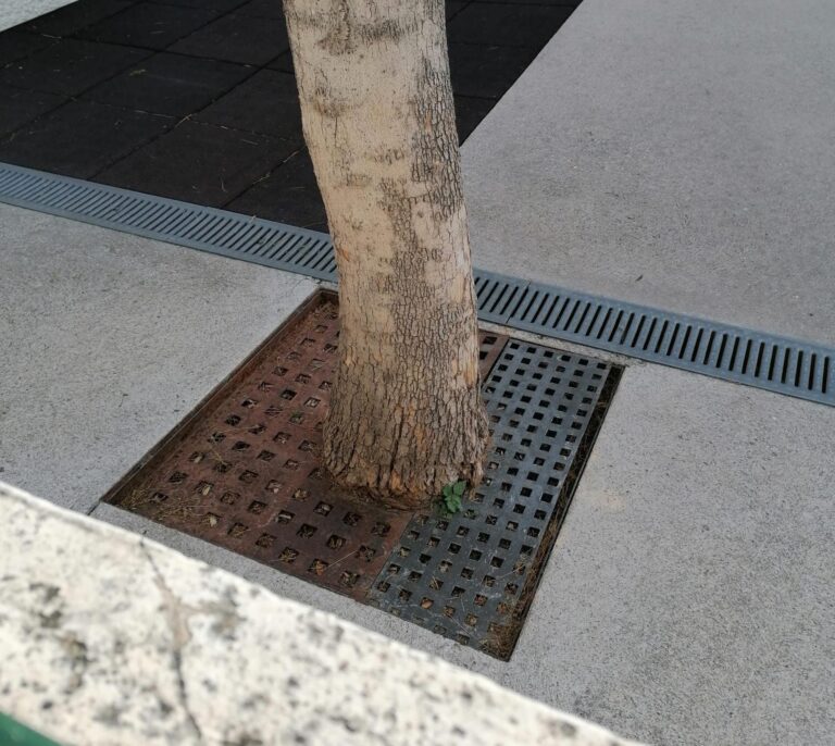 Compromís sol·licita millorar el manteniment del pati de l’Escoleta Municipal El Solet