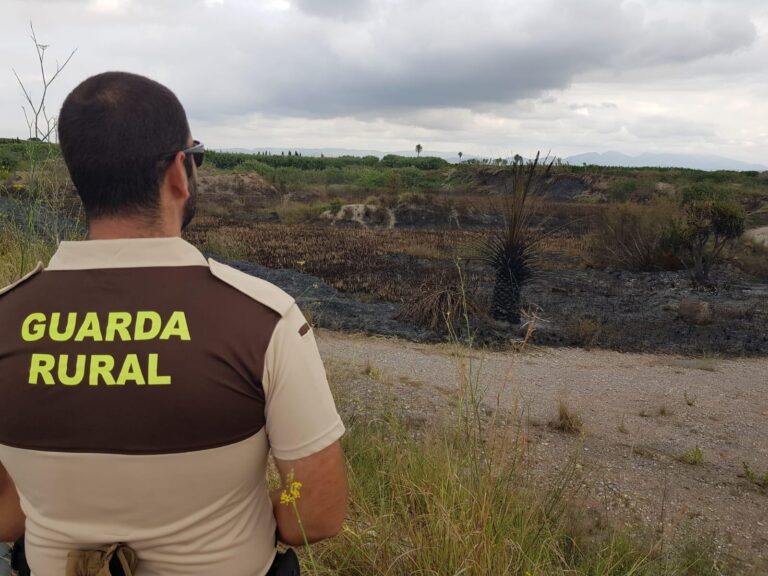 Un xicotet incendi afecta una zona del tram baix del Paisatge Protegit de la Desembocadura del Millars