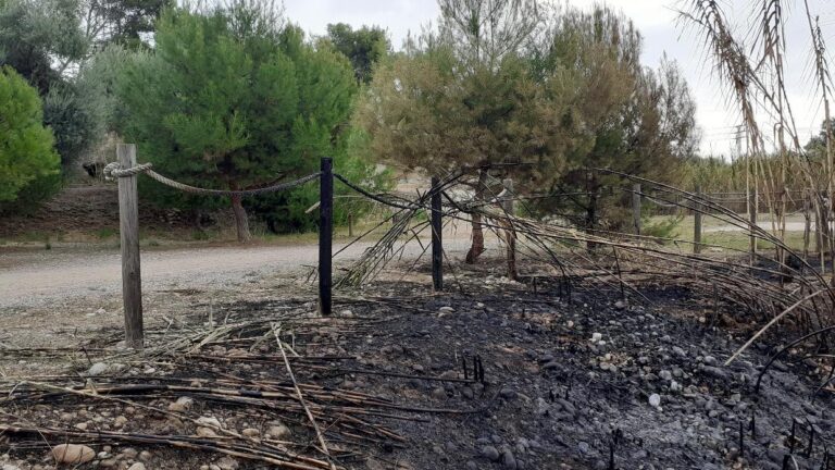 Els incendis a la Desembocadura del Millars cremen pins, canyars i part de l’històric molí del Terraet