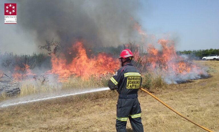 S’incendia un cultiu abandonat a Vila-real