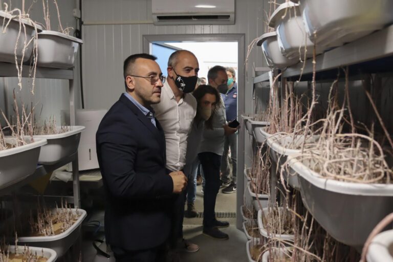 Benlloch assisteix a l' experiència pionera de l'insectari per a combatre la plaga del cotonet