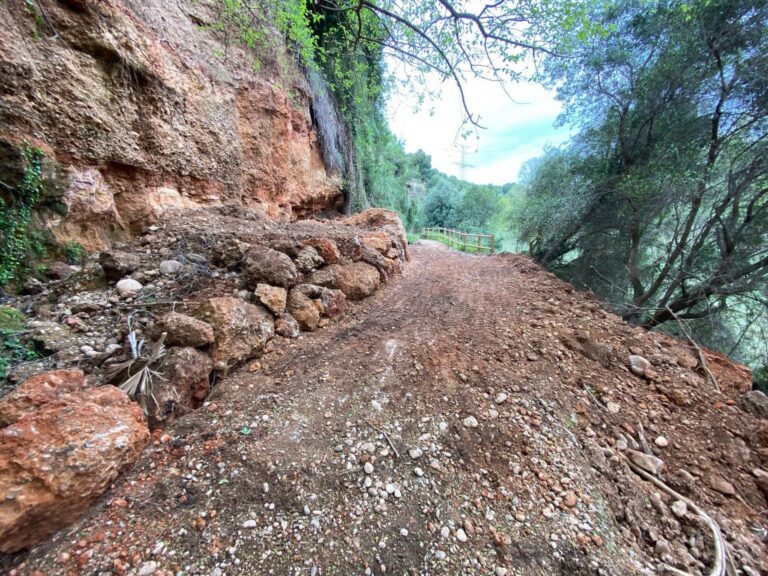 La ruta Botànica de Vila-real obri novament al públic després de les obres de restauració