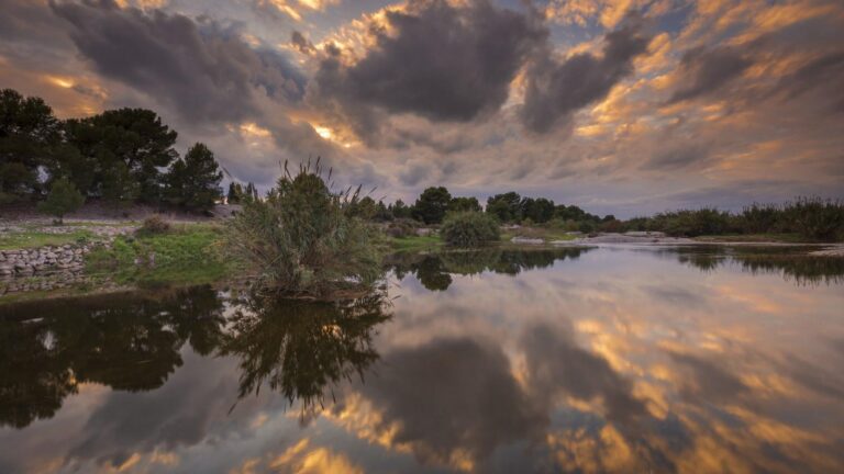 El Termet acull les VIII Jornades del Paisatge Protegit de la Desembocadura del Millars