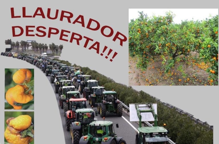 Els Llauradors de Vila-real convoquen als agricultors a una concentració de protesta fins a Castelló