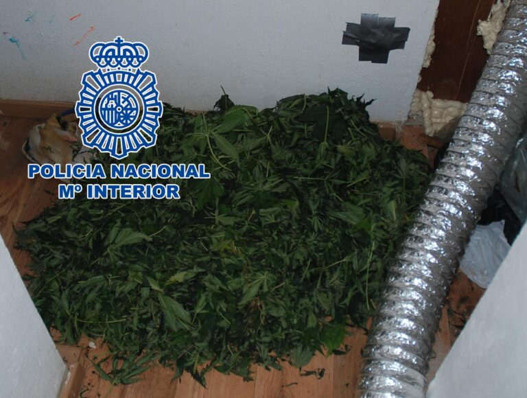 Detingut per posseir més de set quilos de marihuana i una pistola en un habitatge de la partida Madrigal