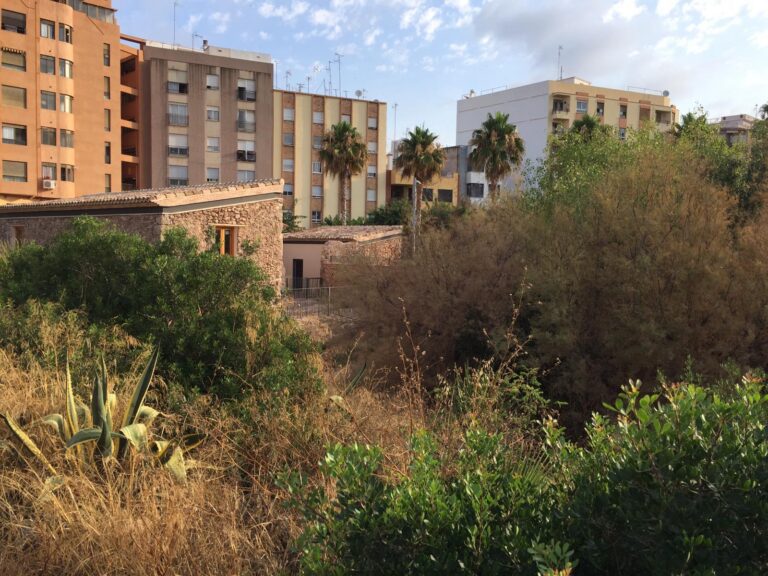 Cs demana que les brigades de l'atur agrari prioritzen la neteja de l'entorn del Molí La Vila