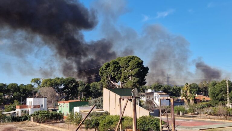 L’incendi al costat del paratge del riu Millars suspén durant una hora el tren entre Vila-real i Castelló
