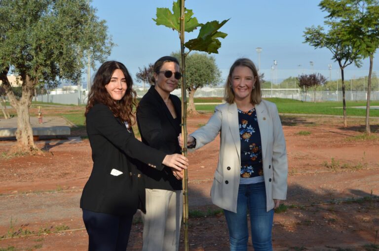 Vila-real incorpora zones d’ombra natural a la Ciutat Esportiva Municipal