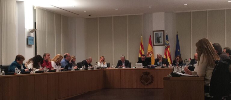 Aproven al ple municipal demanar necessitats per a la ciutat al Govern Central