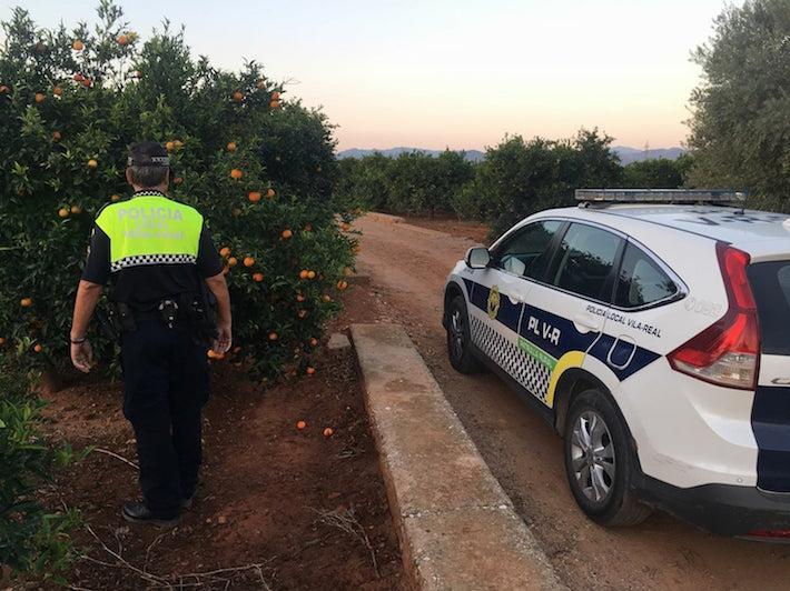 La Policia Rural extrema la vigilància en les primeres collites de cítrics del terme municipal