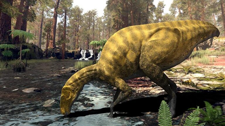 El Grup Guix de Vila-real: artífexs del descobriment del nou dinosaure en Portell