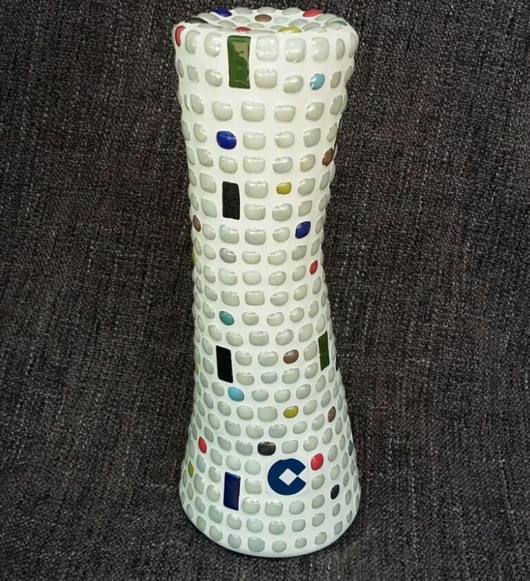 El col·legi Bisbe Pont, Sebastián Mora i la Plana, guardonats en els VIII Premis Cope Castelló