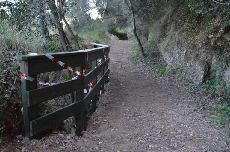 El Consorci del Millars renova l’equipament el tram fluvial del Paisatge Protegit
