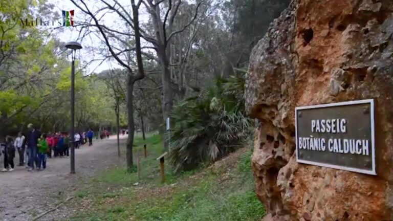 El PSOE desenvoluparà un pla integral per a posar en valor el Millars, fomentar usos sostenibles i obrir la ciutat al llit fluvial